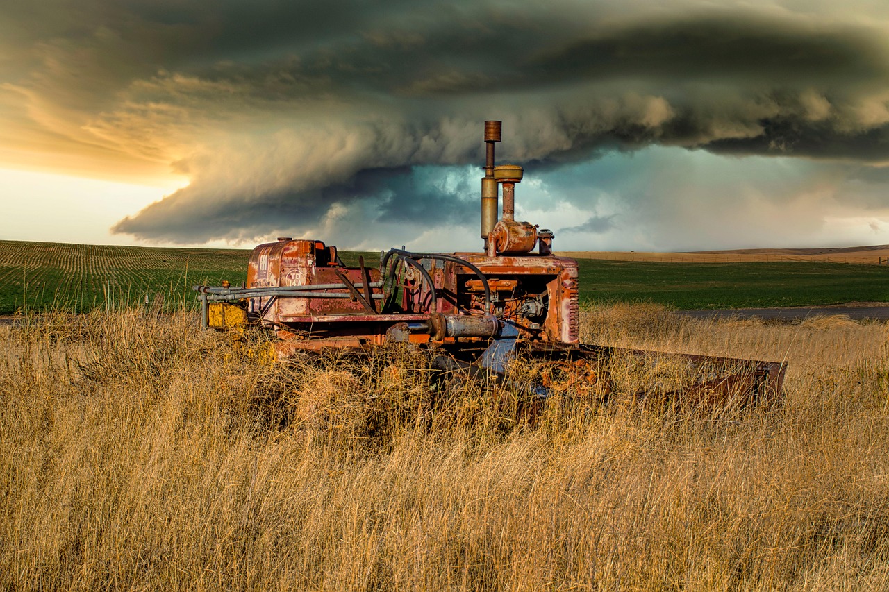 Reading the Weather: How Farmers Predicted Rain Without a Forecast