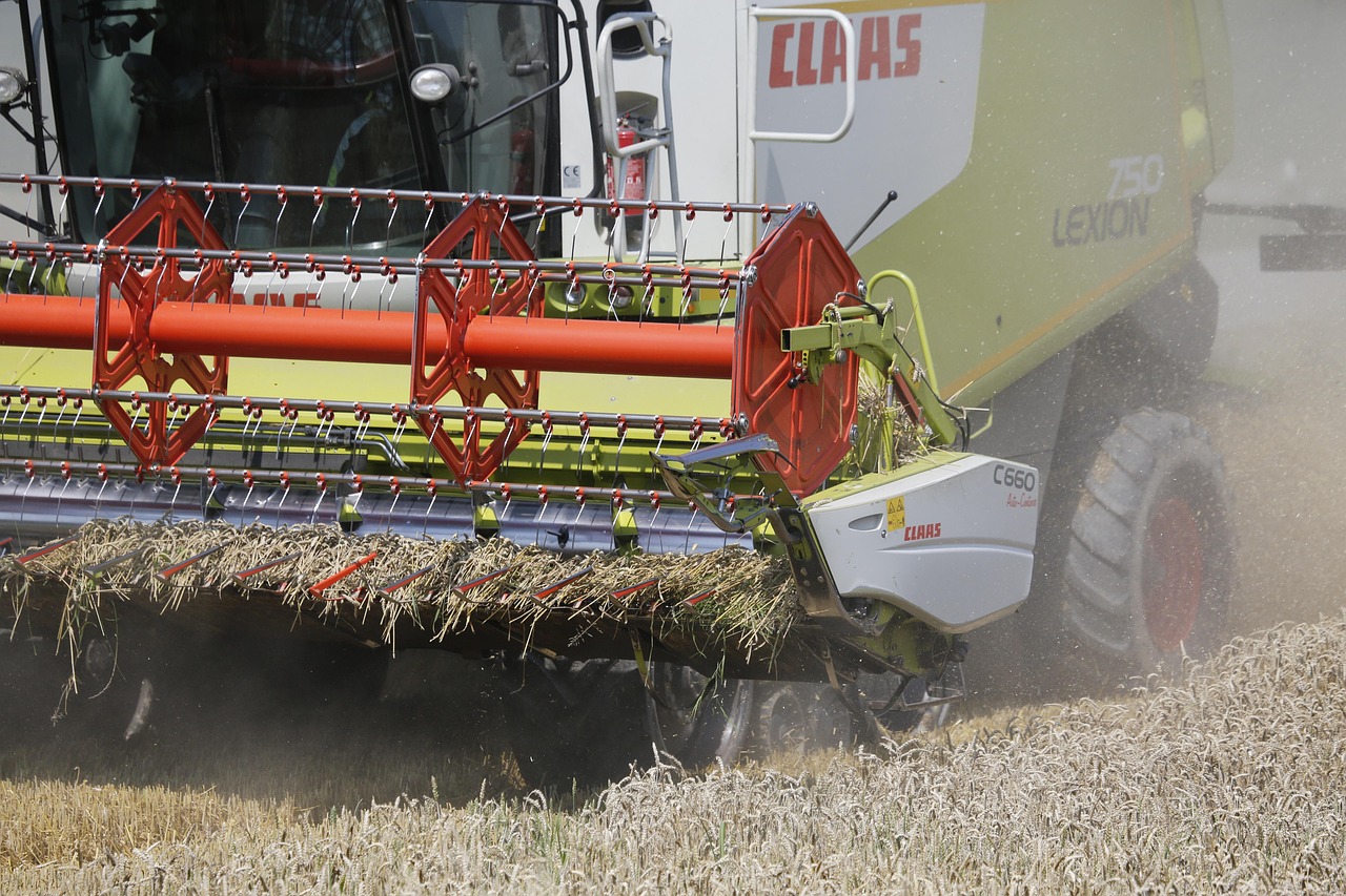 Threshing Day: The Rhythm of a Harvest Before Combines
